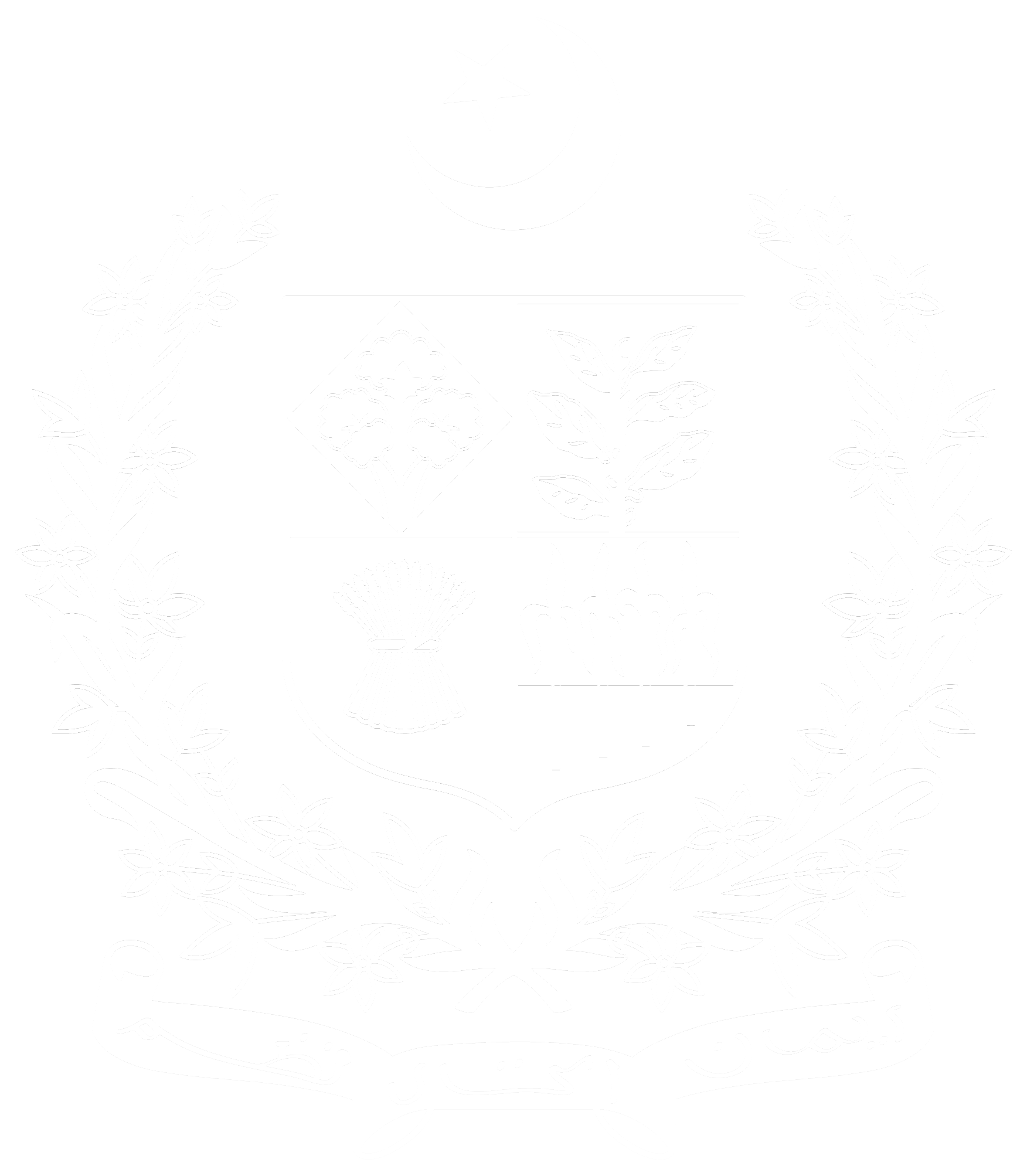 pakistan-single-window